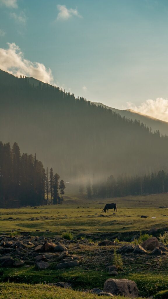 backpackers india kashmir