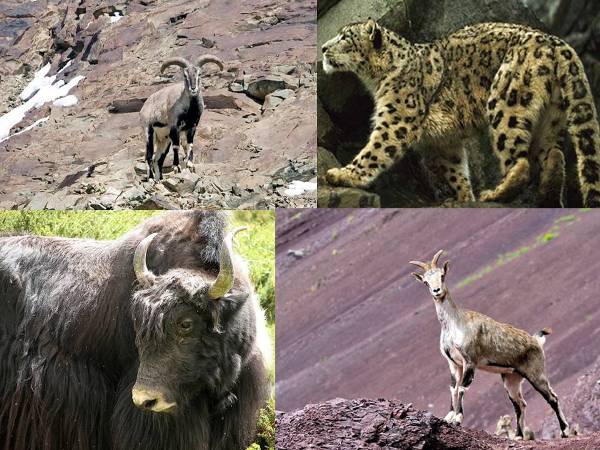 Habitation to the largest National Park and Bird Retreat