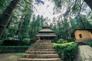 backpackers india 