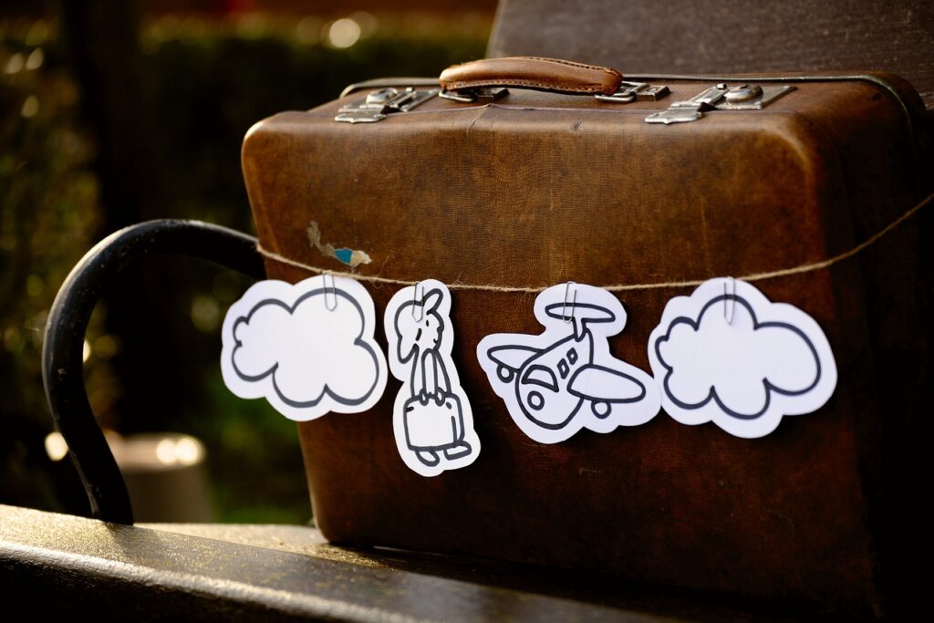 connection, airline travel, suitcase-4818154.jpg