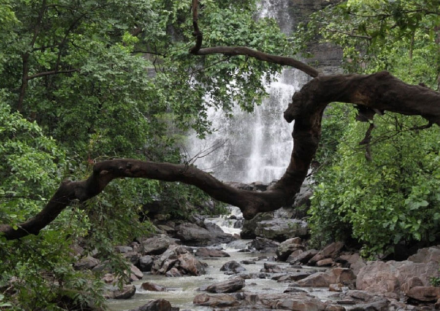 best atrractions for wildlife lovers Chhattisgarh)