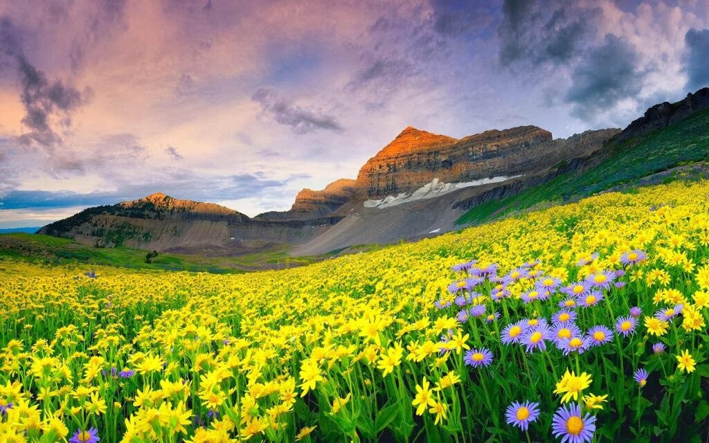 alley of Flowers Trek with Hemkund Sahib