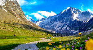 backpacker india