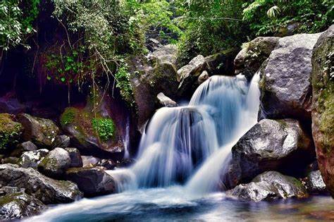mist is filled with clouds above them then you should not miss the opportunity to visit Cherrapunji.