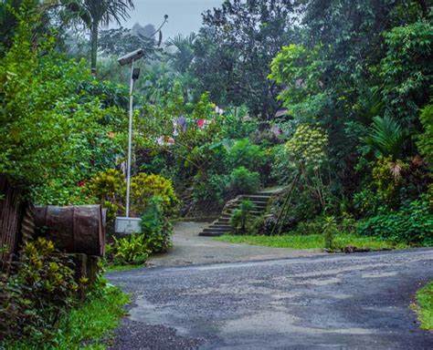 A tourism publication referred to Mawlynnong village as the "Cleanest Village in Asia." The town, also known as "God's Own Garden