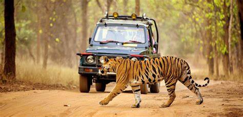 Valmiki National Park(Bihar)