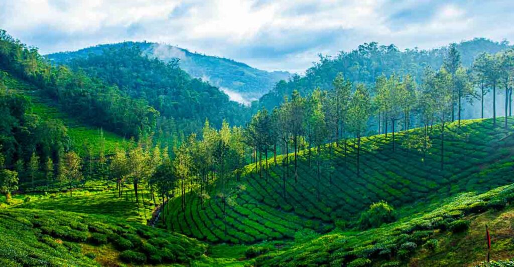 kerala 