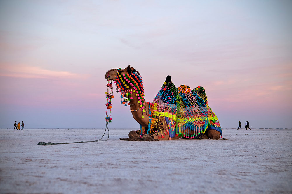 BackpackerIndia
