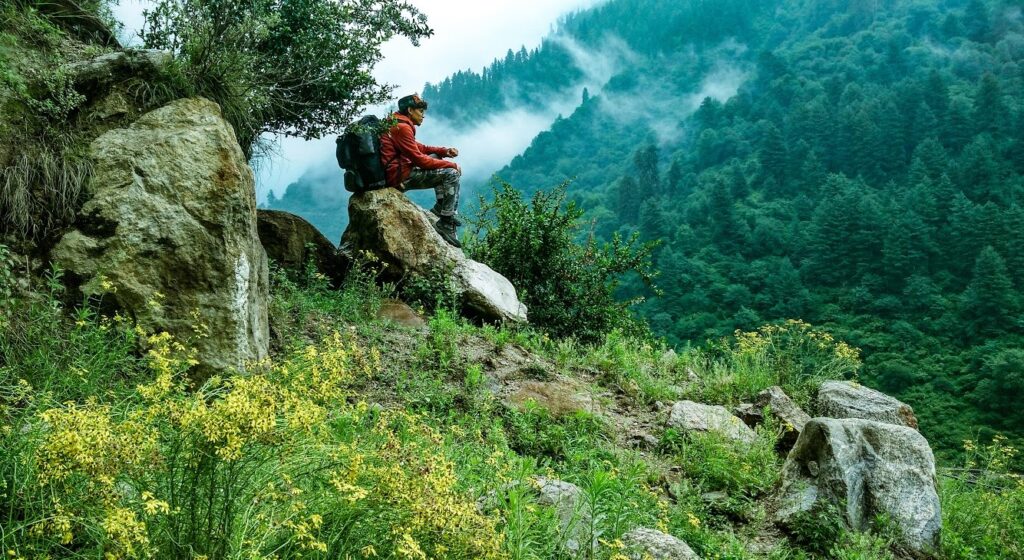 HIMACHAl BACKPACKING | MANALI KASOL & JIBHI FROM DELHI​